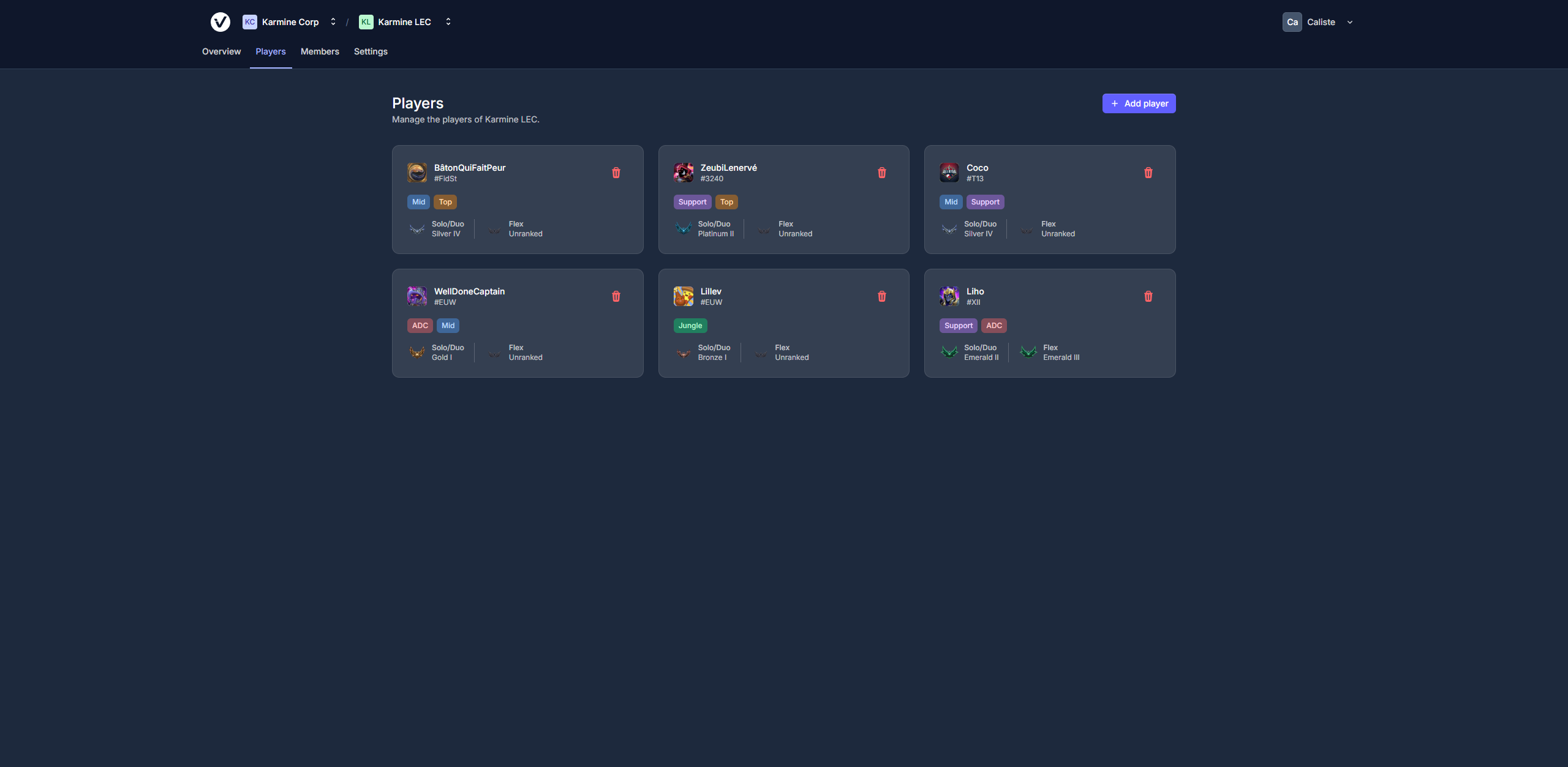 Player management panel showing player cards with rank badges and role assignments
