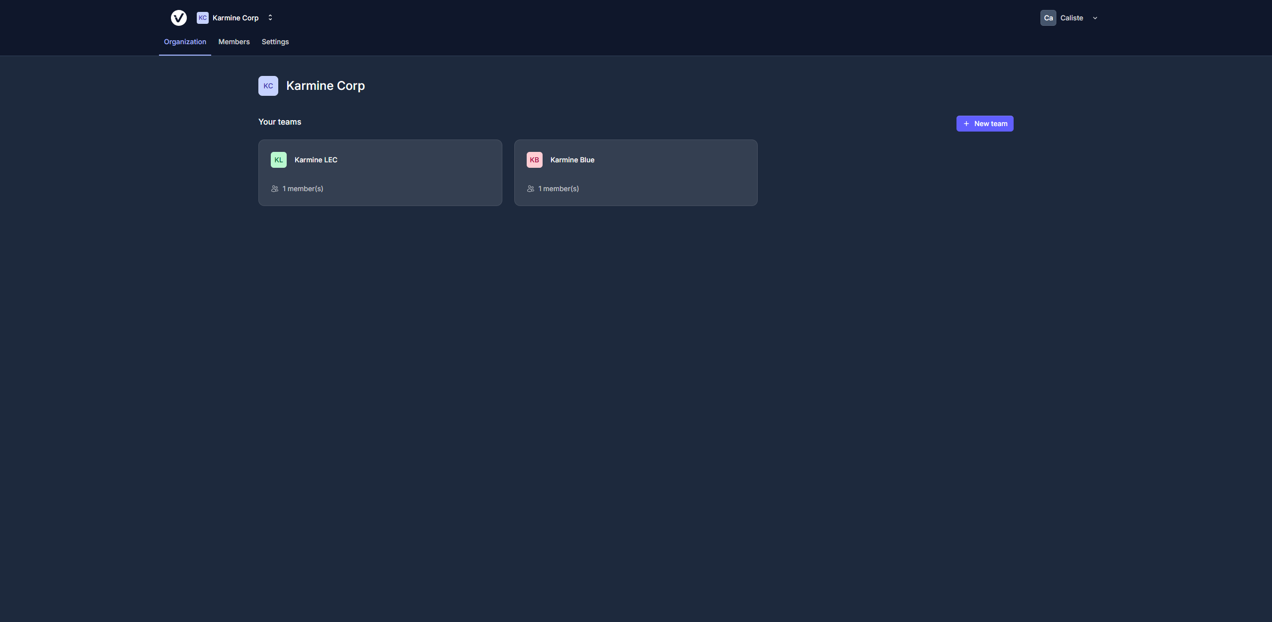 Organization view showing multiple teams with member counts
